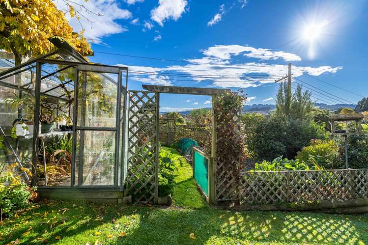 18 Weir Street Green Island_22