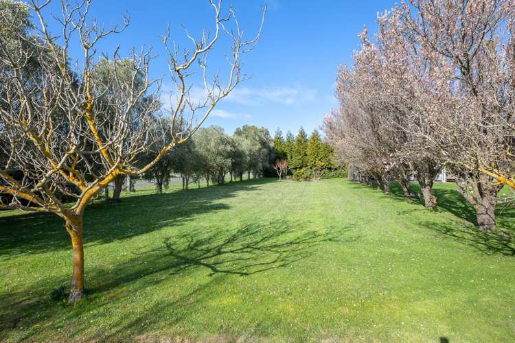 15 Inkerman Street North Renwick_54