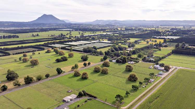 111 Paul Road Whakatane Surrounds_14