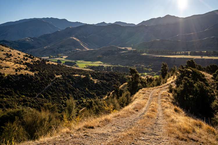 446 Cardrona Valley Road Wanaka_17