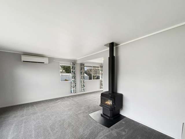 163A Whitaker Street Whataupoko_4