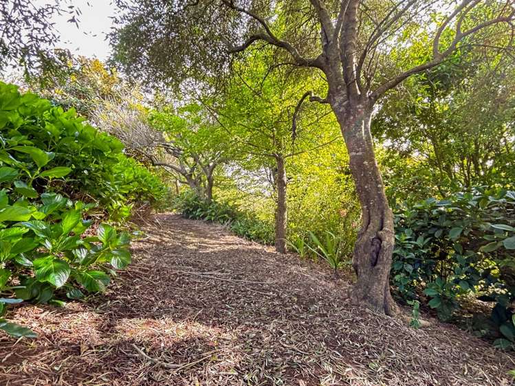 810 Upper Queen Street Pukekohe_28