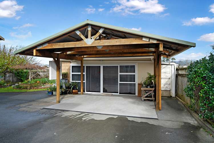 44 Smythe Road Henderson_18