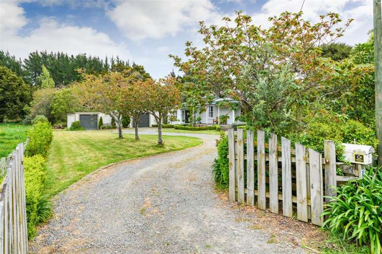 93 Trickers Road Bulls_11