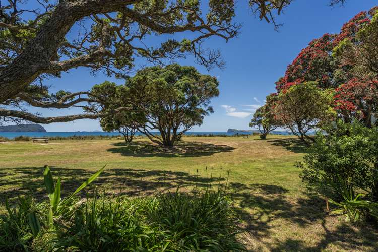 35 Prescott Place Pauanui_6