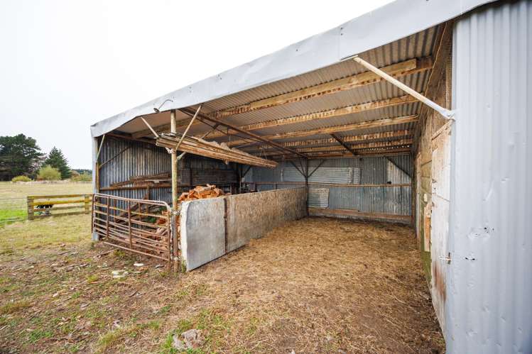 232 Nannestads Line Bunnythorpe_25