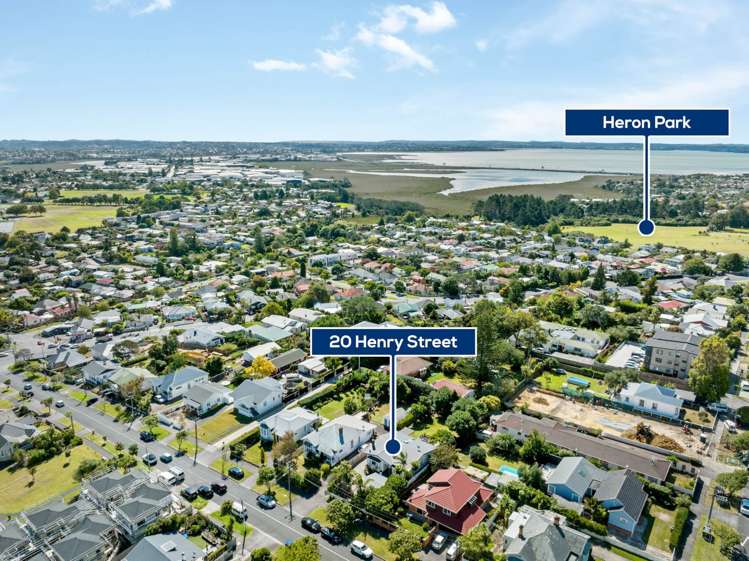 20 Henry Street Avondale_20