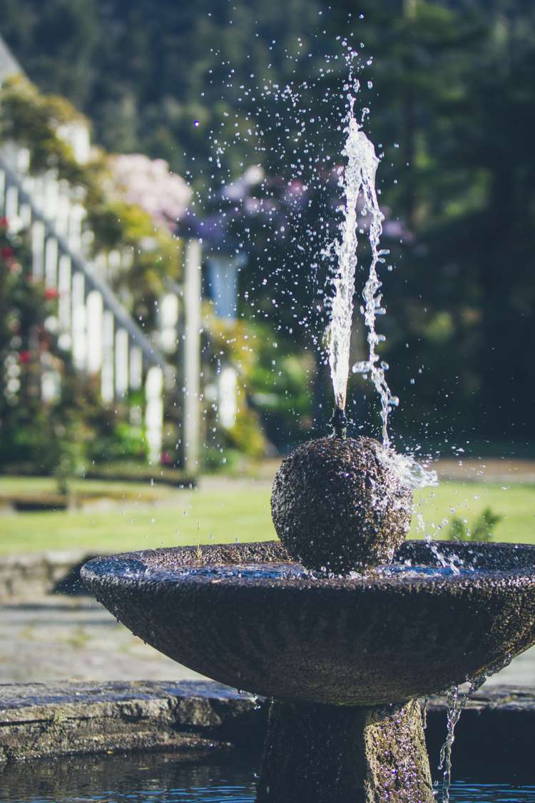 6 Whataroa Highway Harihari_4