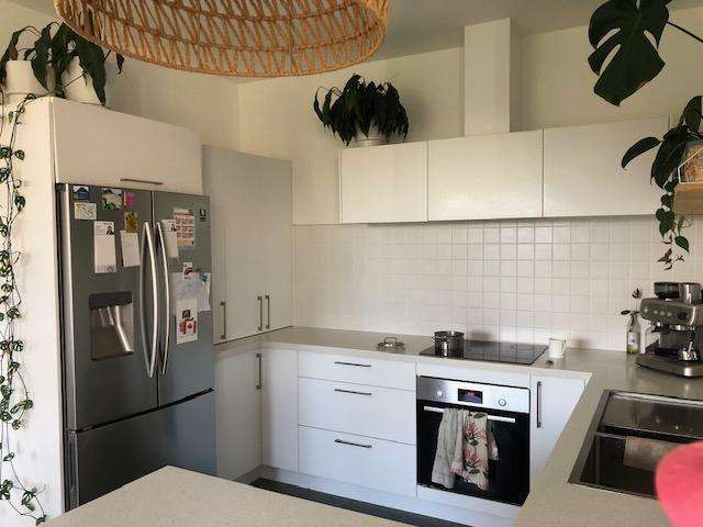 15 Radisich Place Mount Maunganui_4