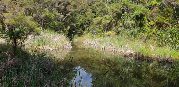 448 Moir Hill Road Warkworth_13