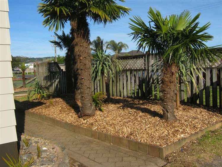 87 Domain Road Tauranga_5