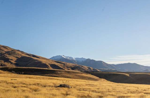 56 Lee Avenue Cardrona_4