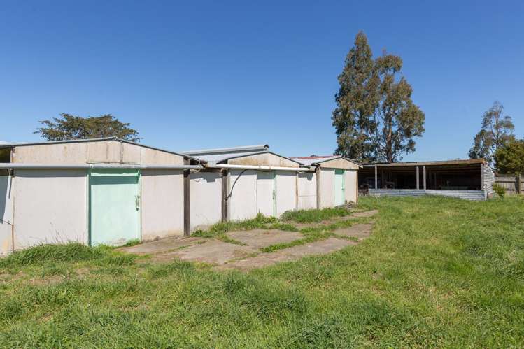 3363 State Highway 2 Carterton_27