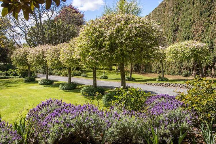 76 Pukakura Road Katikati_3