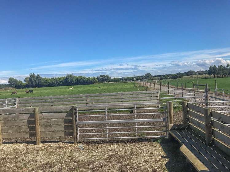 112 Kennington Waimatua Road Kennington_32