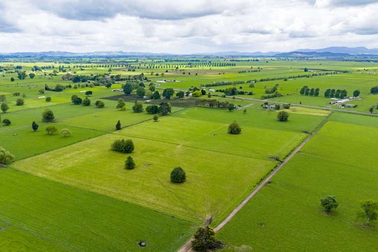 618 Piako Road Gordonton_22