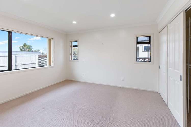 394 Park Road Te Awamutu_6