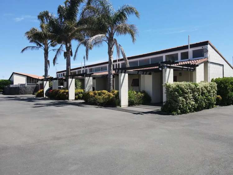 4 Westminster Avenue Napier South_6