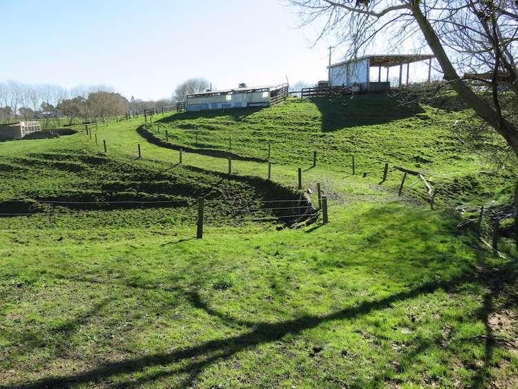 673 Hetherington Road Rotongaro_13