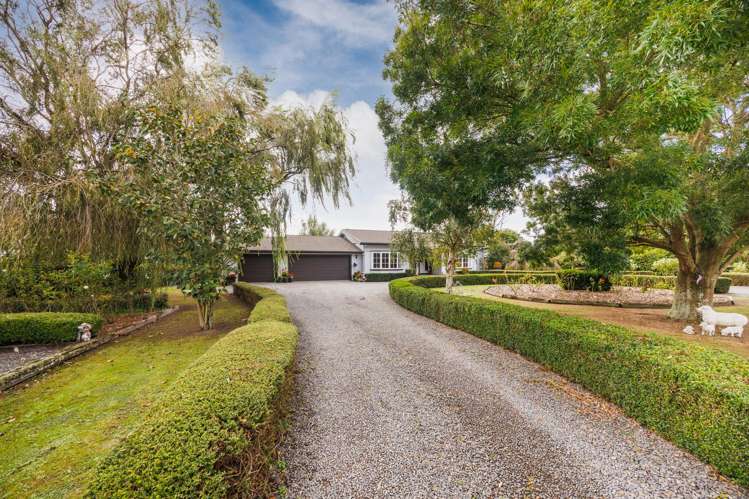 1226 Kairanga Bunnythorpe Road Kairanga_19