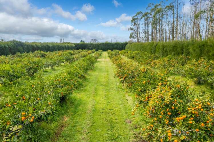 32 Ohinewai Road Ohinewai_7