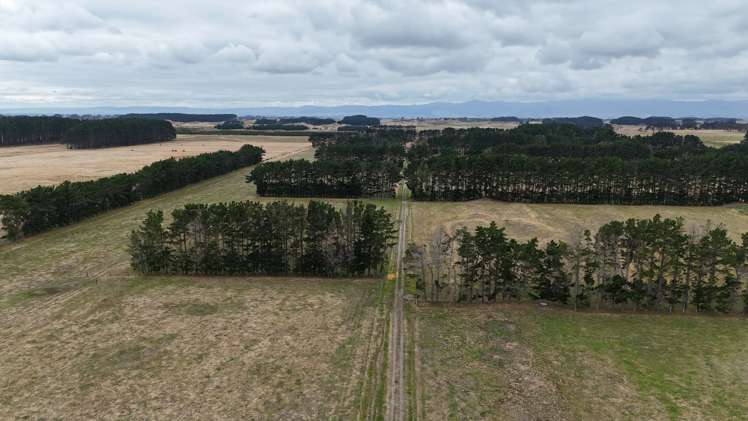 265 Paranui Road Foxton_8