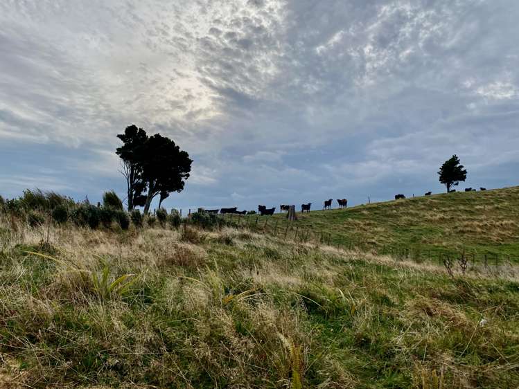 795 Dover Road Okato_32