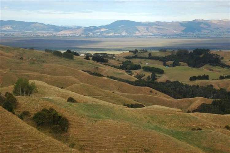 Waiti Road Tahuna_32