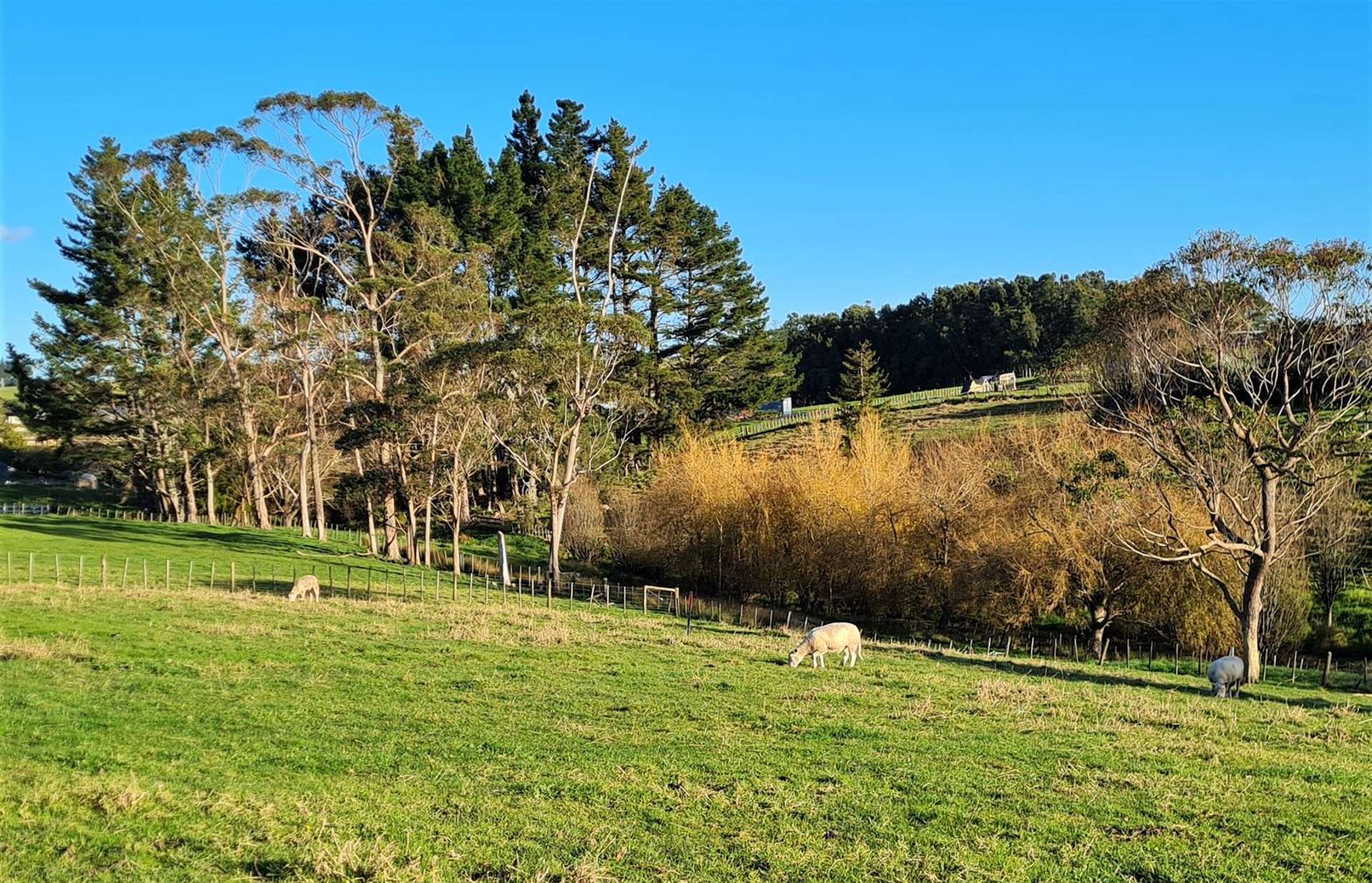 Lot 3/750 Kaipara Coast Highway Kaukapakapa_0