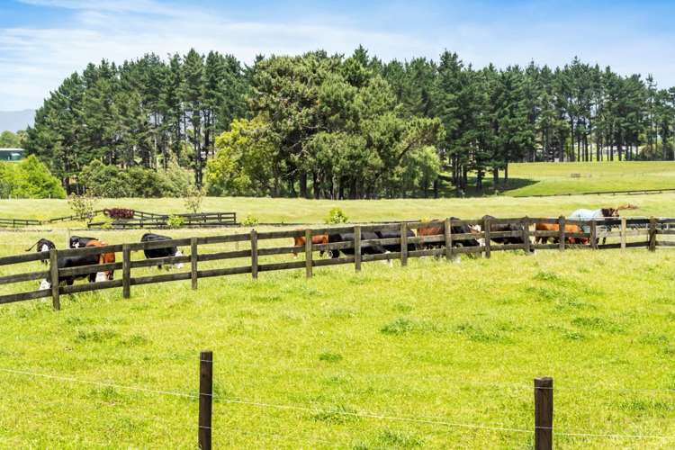5 Codlin Road Waiuku_6