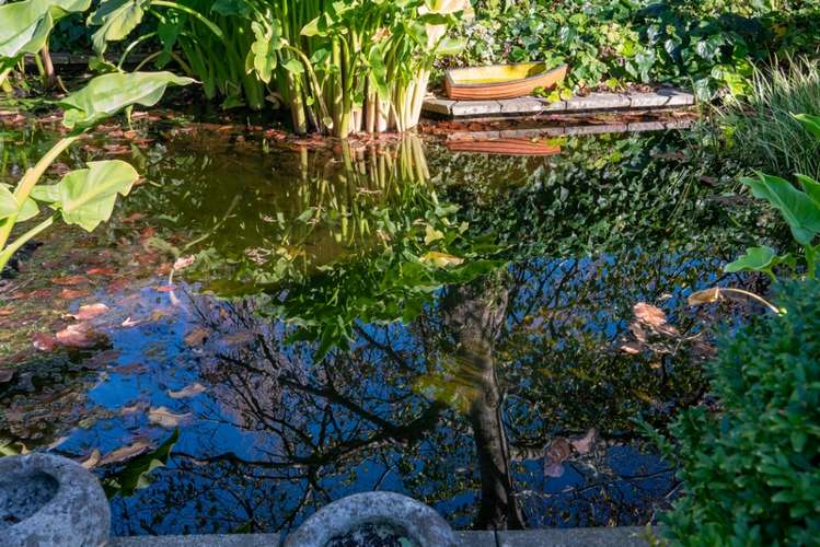 75 Matatua Road Raumati Beach_11