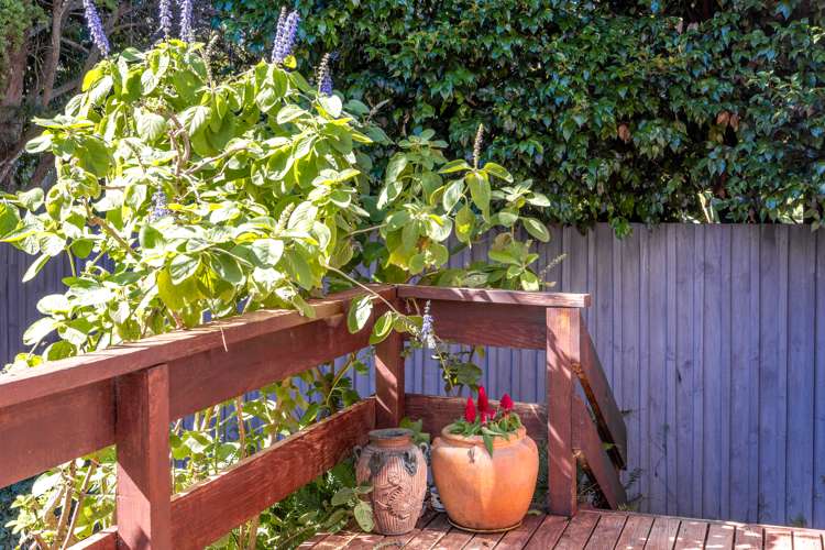 11 Muritai Road Ostend_15