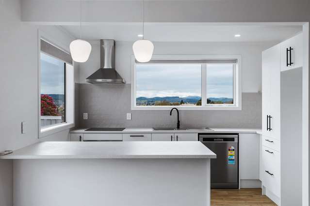 38 Puriri Street Te Aroha_4