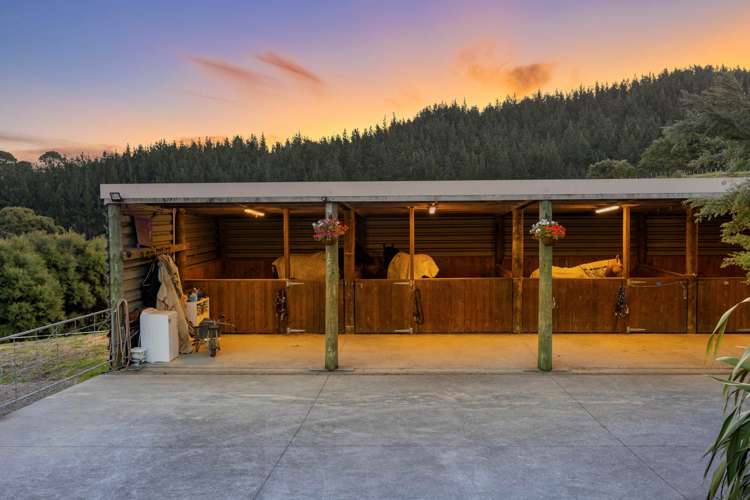 105 Zanders Road Helensville_25