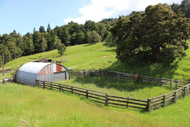 1529 Duncan Road Kaitaia_15