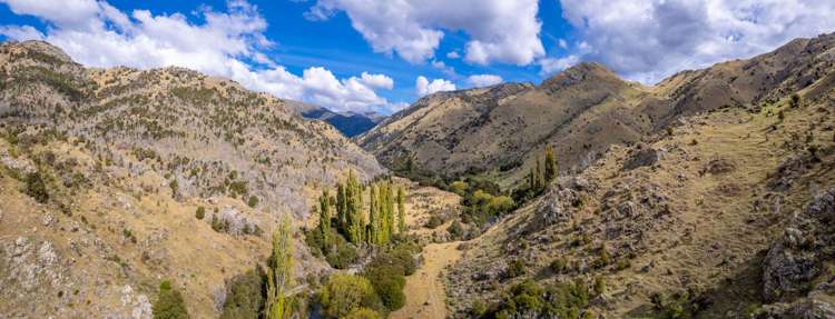 1180 Tyntesfield Road Waihopai Valley_23