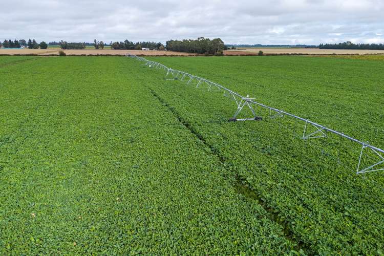 575 Thompsons Track Rakaia_12