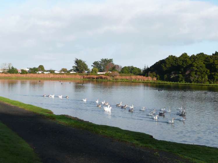 32 Sunningdale Street Wattle Downs_18