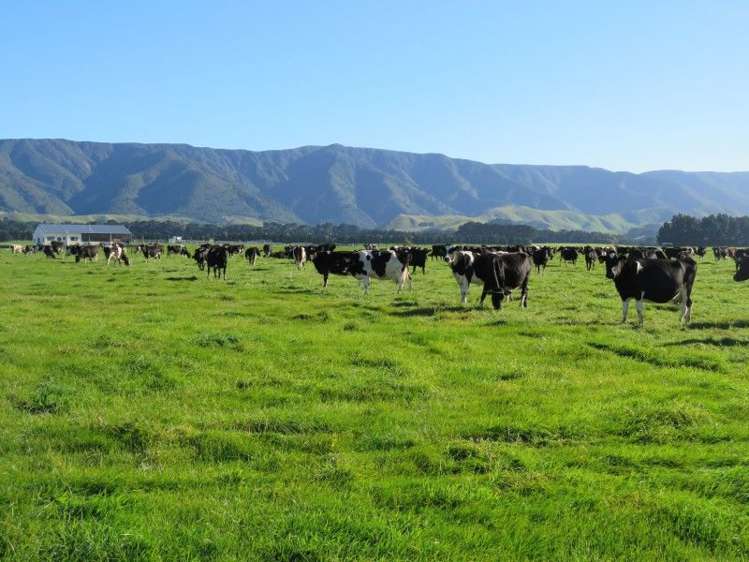 746 Top Grass Road Dannevirke_0