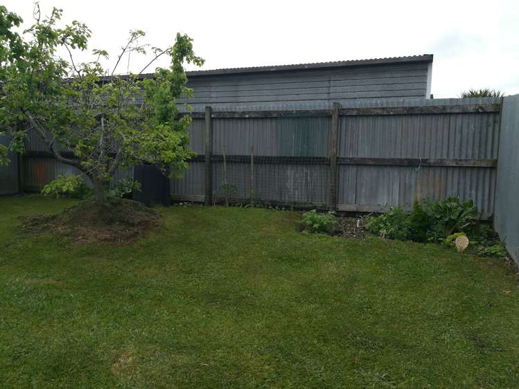 17 Park Street Morrinsville_6