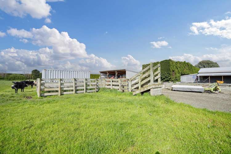 468 Lorne Dacre Road Roslyn Bush_30