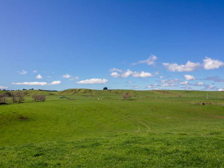 438 Omahina Road Waverley_17