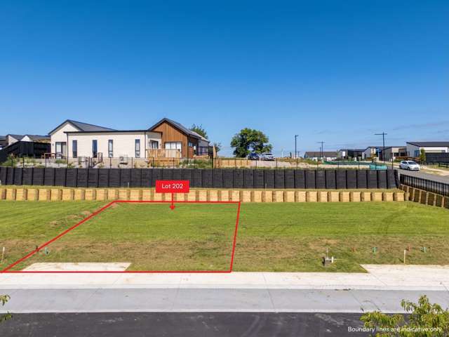 Lot 202 Oculus Terrace Glenview_4