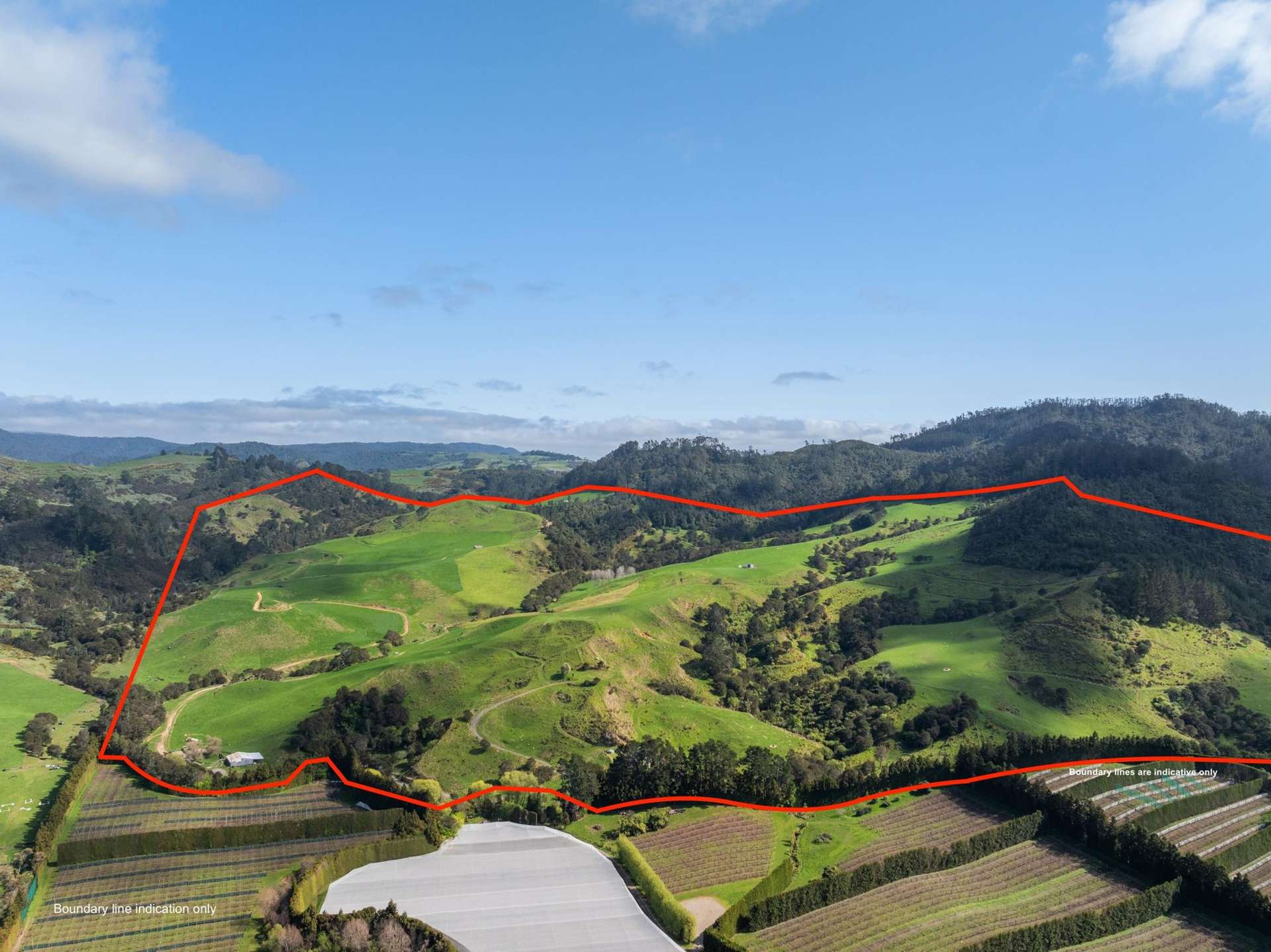 35 Canon Road Katikati_0