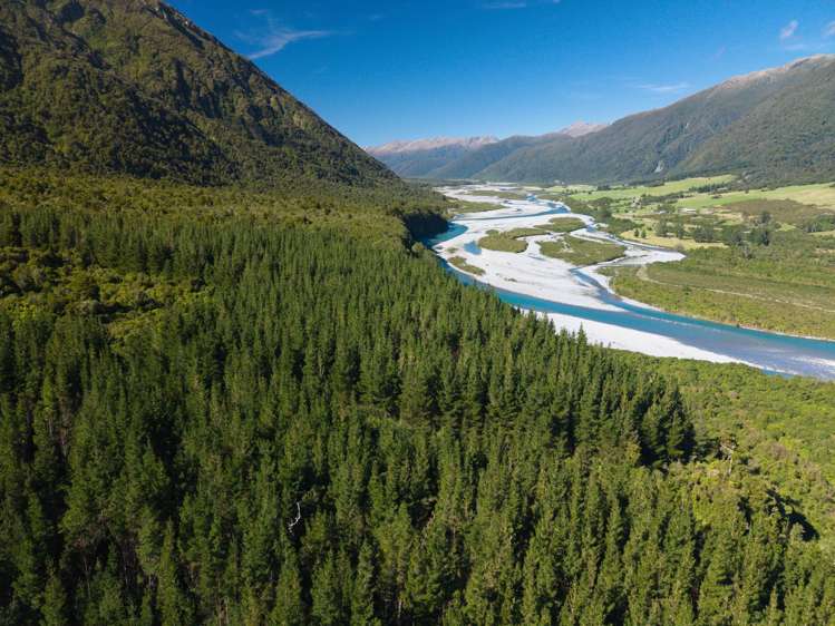 Bell Hill Road Inchbonnie_20