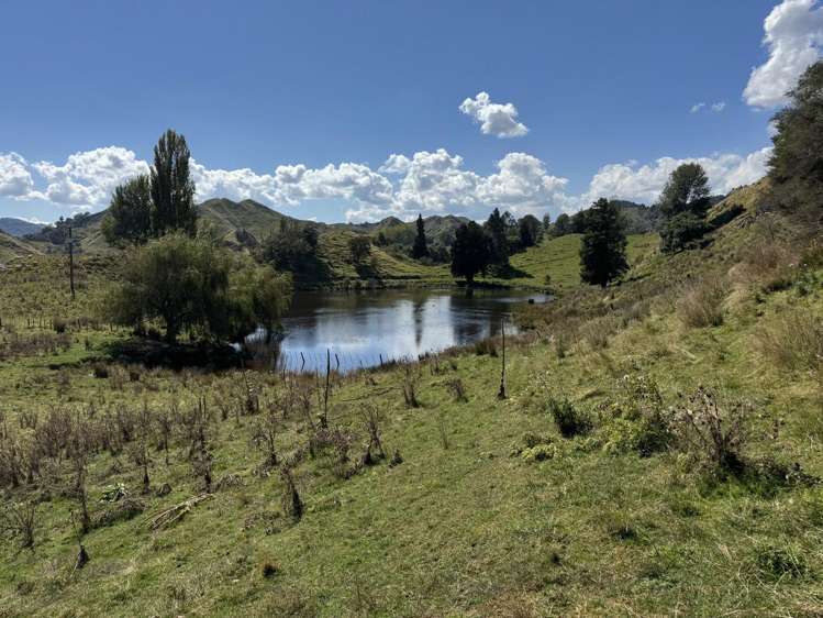 637 Makakahi Road Ruatiti_20