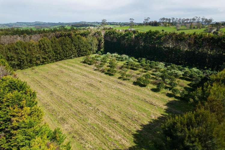 908A Te Ahu Ahu Road, Waimate North Kerikeri_10