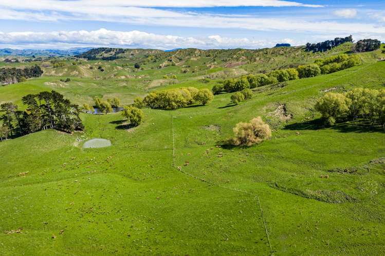 683 Bush Road Wallingford_41