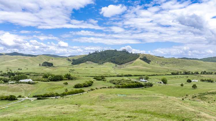 361 Martin Road Waerenga_5