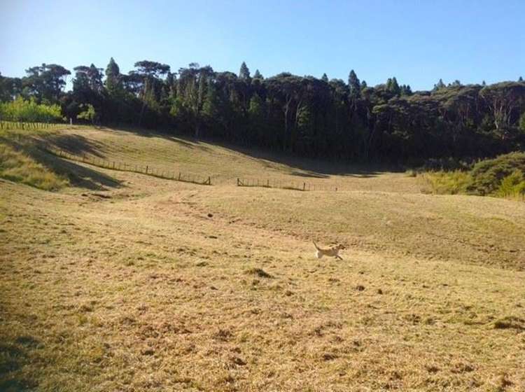 139 Hinau Road Waimauku_19